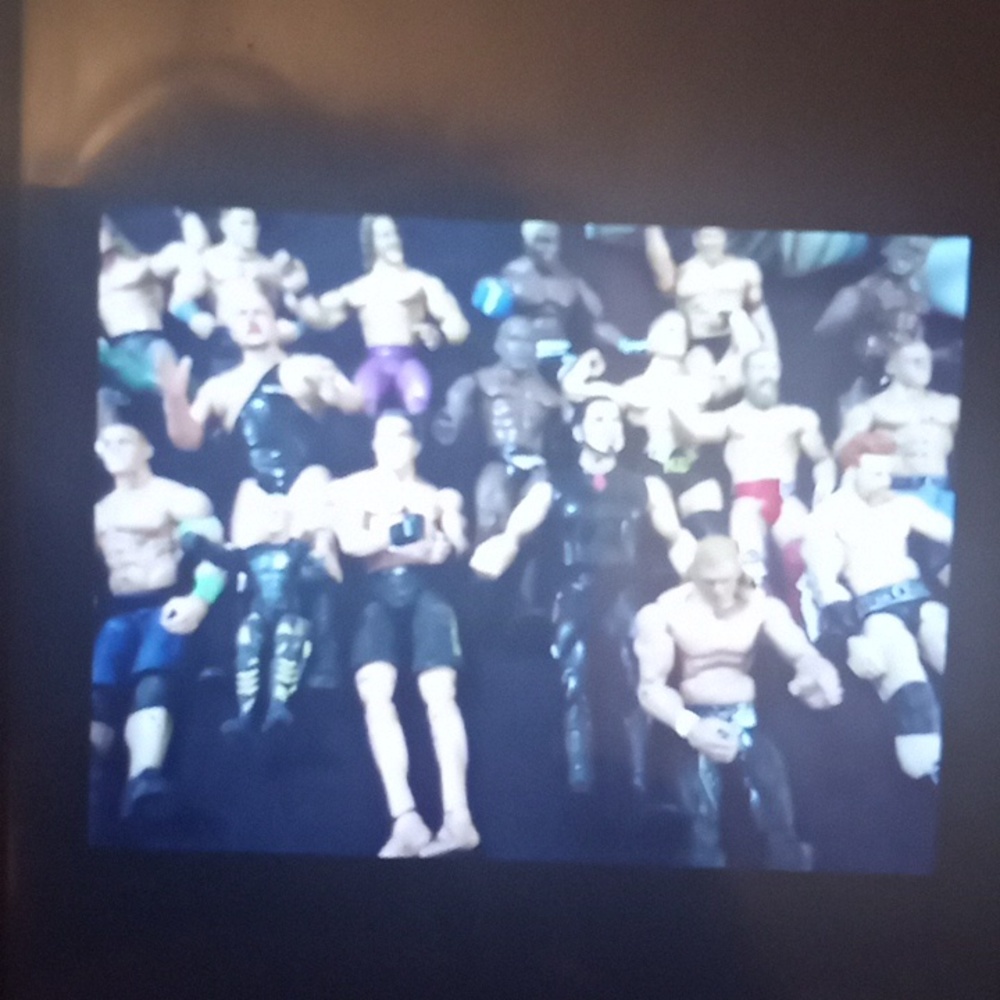 WWE wrestlers and ufc fighters action figures